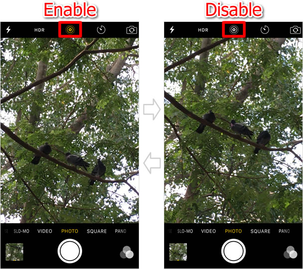 Enable/Disable Live Photos